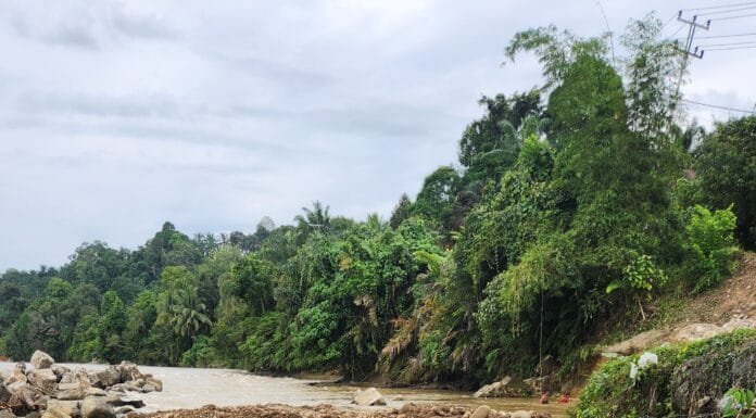 RIBUAN KUBIK BATU KALI TANPA IZIN PROYEK MILIK BWSS II SUMUT DI PASAMAN BARAT DI RESTUI PEMBAYARANNYA OLEH KPA